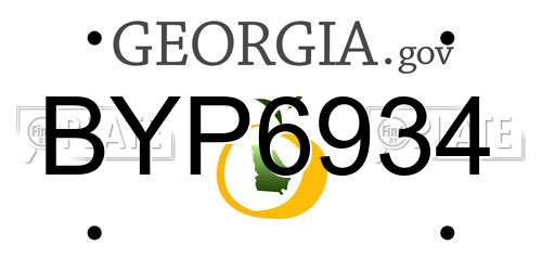 BYP6934 Georgia License Plate