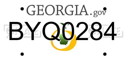 BYQ0284 Georgia License Plate