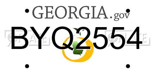 BYQ2554 Georgia License Plate