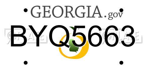 BYQ5663 Georgia License Plate
