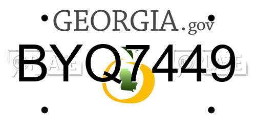 BYQ7449 Georgia License Plate