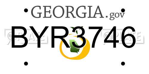 BYR3746 Georgia License Plate
