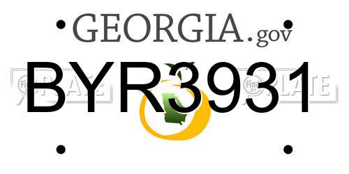 BYR3931 Georgia License Plate