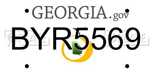 BYR5569 Georgia License Plate