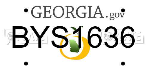 BYS1636 Georgia License Plate