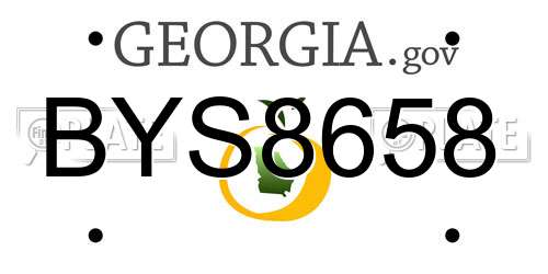 BYS8658 Georgia License Plate