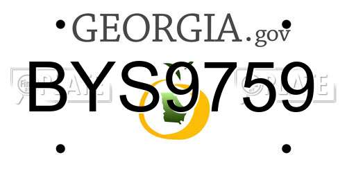 BYS9759 Georgia License Plate