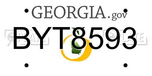 BYT8593 Georgia License Plate