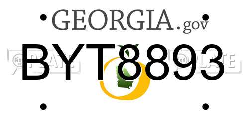 BYT8893 Georgia License Plate