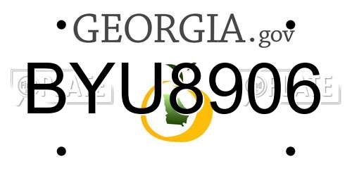 BYU8906 Georgia License Plate