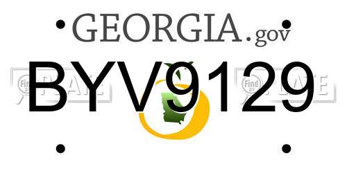 BYV9129 Georgia License Plate