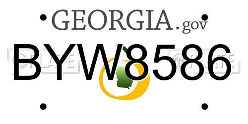 BYW8586 Georgia License Plate