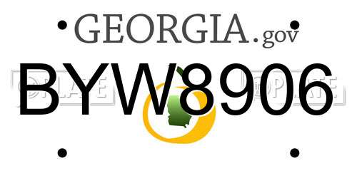 BYW8906 Georgia License Plate
