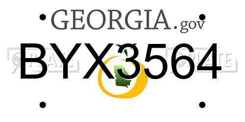 BYX3564 Georgia License Plate