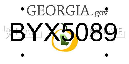 BYX5089 Georgia License Plate