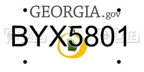 BYX5801 Georgia License Plate