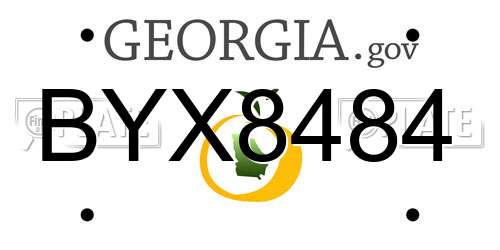 BYX8484 Georgia License Plate