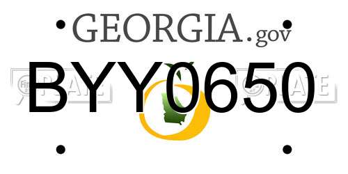 BYY0650 Georgia License Plate
