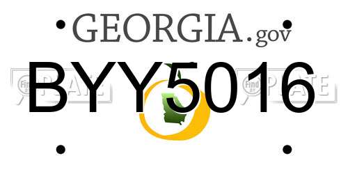 BYY5016 Georgia License Plate