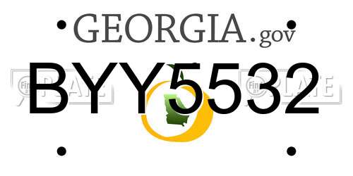 BYY5532 Georgia License Plate