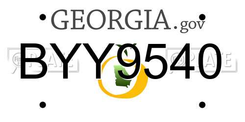 BYY9540 Georgia License Plate