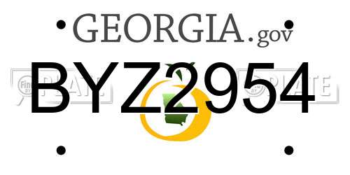 BYZ2954 Georgia License Plate