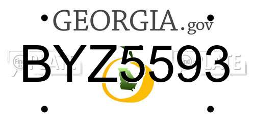 BYZ5593 Georgia License Plate