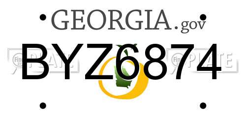 BYZ6874 Georgia License Plate