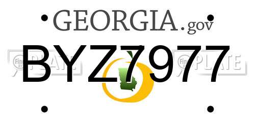 BYZ7977 Georgia License Plate