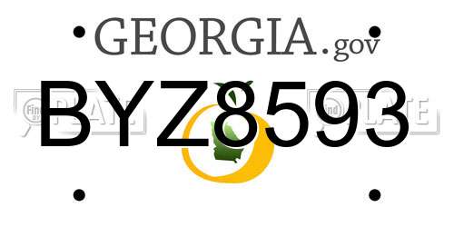 BYZ8593 Georgia License Plate