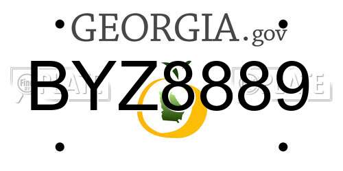 BYZ8889 Georgia License Plate