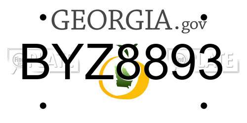 BYZ8893 Georgia License Plate
