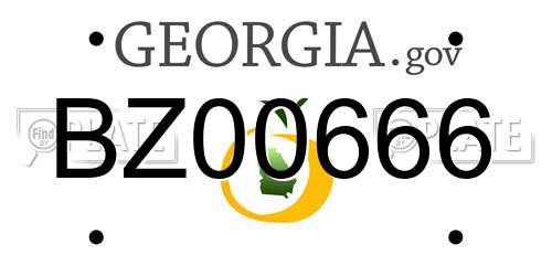 BZ00666 Georgia License Plate