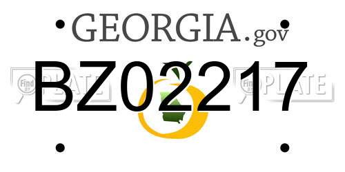 BZ02217 Georgia License Plate