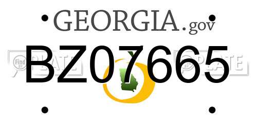 BZ07665 Georgia License Plate