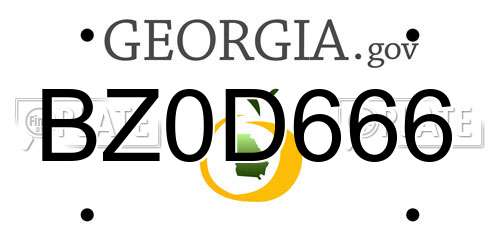 BZ0D666 Georgia License Plate