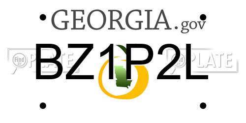 BZ1P2L Georgia License Plate