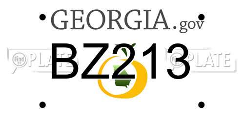 BZ213 Georgia License Plate