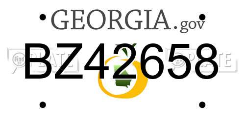 BZ42658 Georgia License Plate
