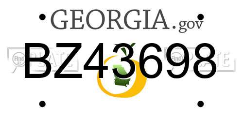 BZ43698 Georgia License Plate