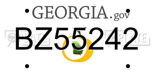 BZ55242 Georgia License Plate