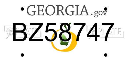 BZ58747 Georgia License Plate