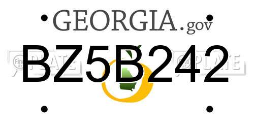 BZ5B242 Georgia License Plate