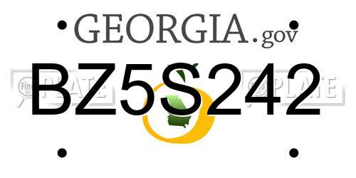 BZ5S242 Georgia License Plate