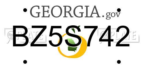BZ5S742 Georgia License Plate