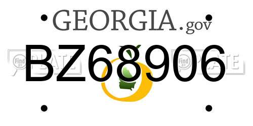 BZ68906 Georgia License Plate