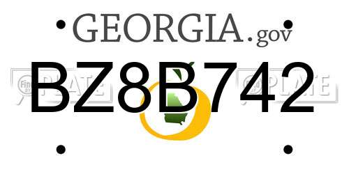 BZ8B742 Georgia License Plate
