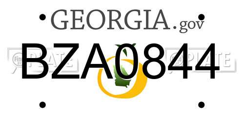 BZA0844 Georgia License Plate