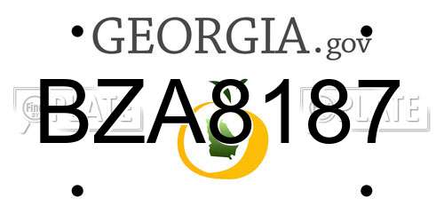 BZA8187 Georgia License Plate