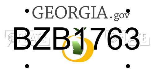 BZB1763 Georgia License Plate
